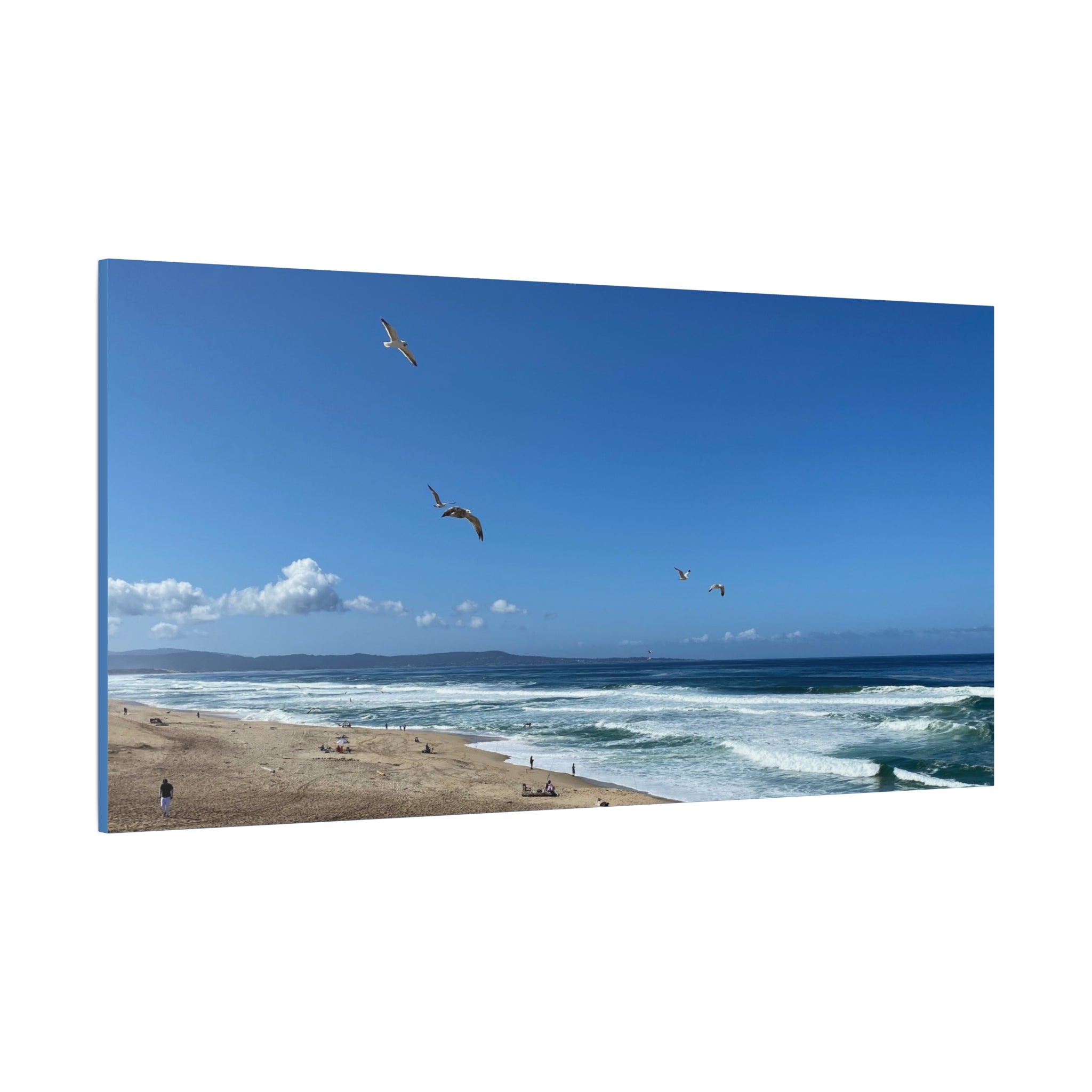 Coastal Seascape Canvas Print — Panoramic Beach with Seagulls