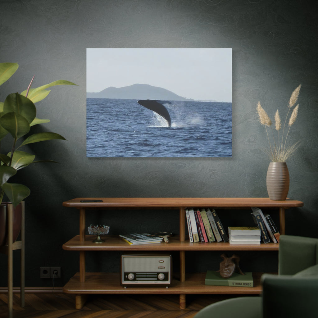 Humpback Whale Breach Matte Canvas Wall Art