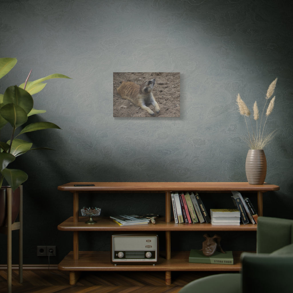 Meerkat Stretch Canvas Wall Art – Relaxed Desert Wildlife Print