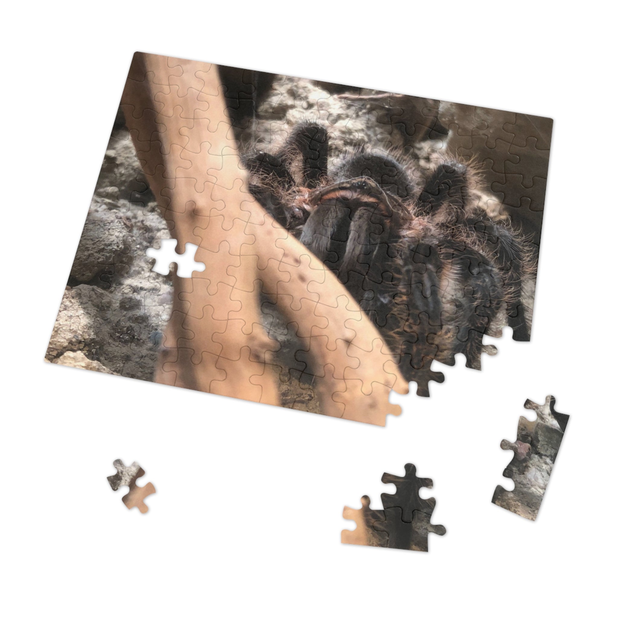Tarantula Jigsaw Puzzle with Tin – Realistic Arachnid Puzzle for Enthusiasts