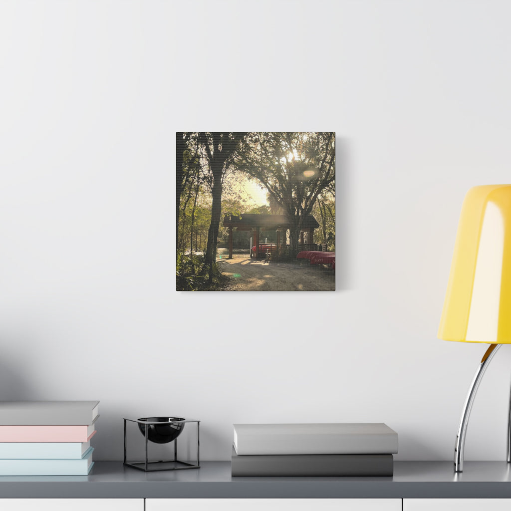 Hazy Morning Kayak - Sunlit Forest Matte Stretched Wall Art