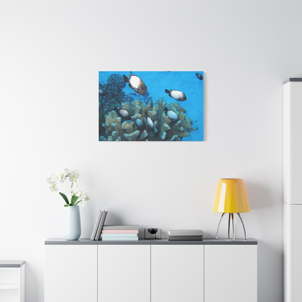 Underwater Coral Reef Canvas Wall Art — Tropical Fish Matte Stretched Canvas