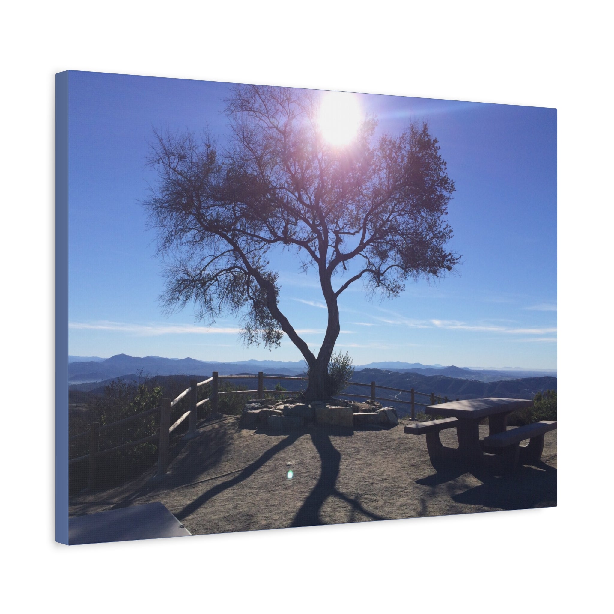 Sunlit Ridge Tree Matte Canvas Print — Scenic Landscape Wall Art