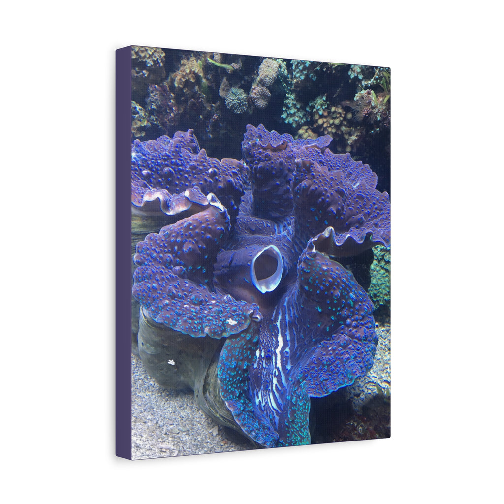 Blue Tridacna Clam Matte Canvas Print — Vibrant Ocean Coral Wall Art