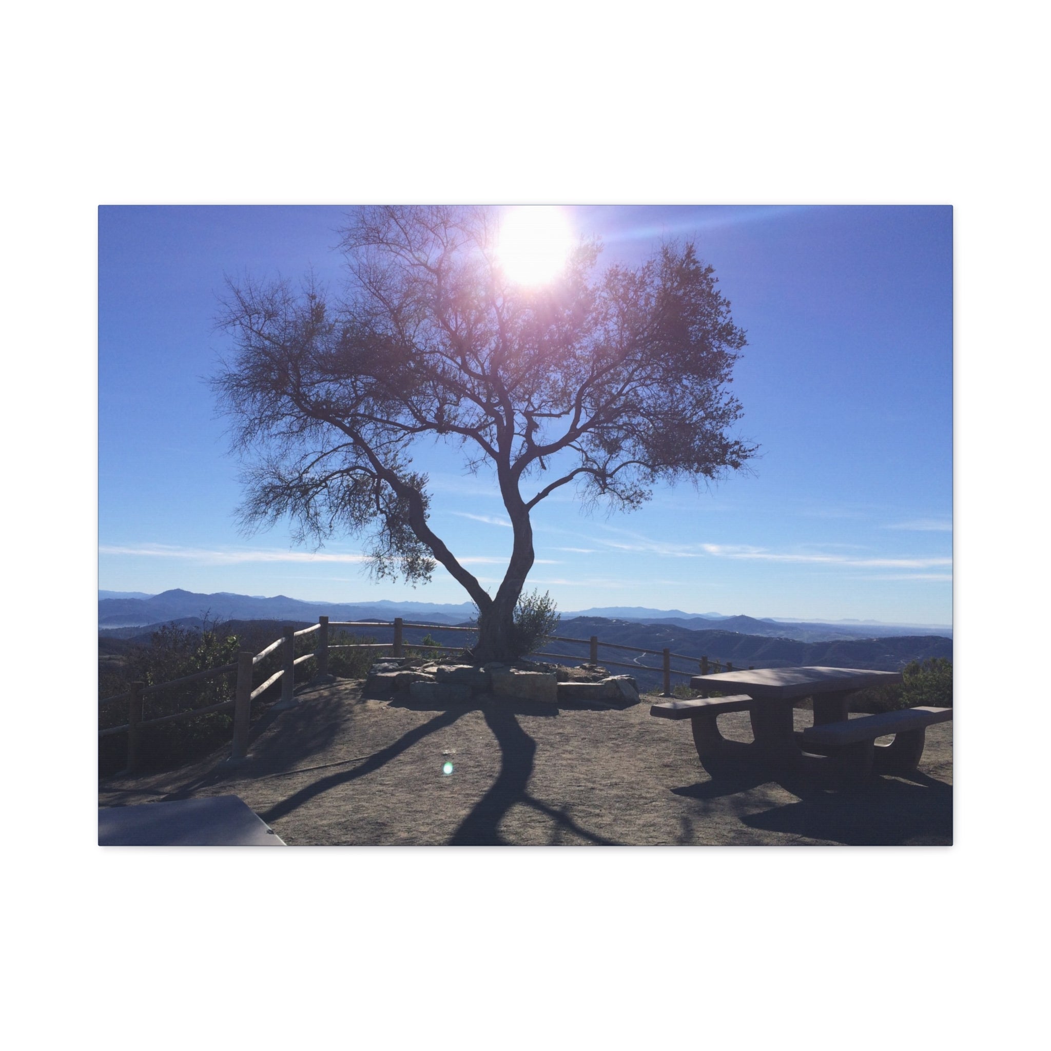 Sunlit Ridge Tree Matte Canvas Print — Scenic Landscape Wall Art