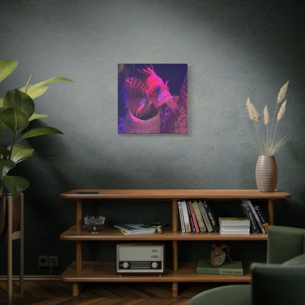 Fuzzy Dwarf Lionfish Canvas Print — Vibrant Marine Wall Art (1.25" Stretched)