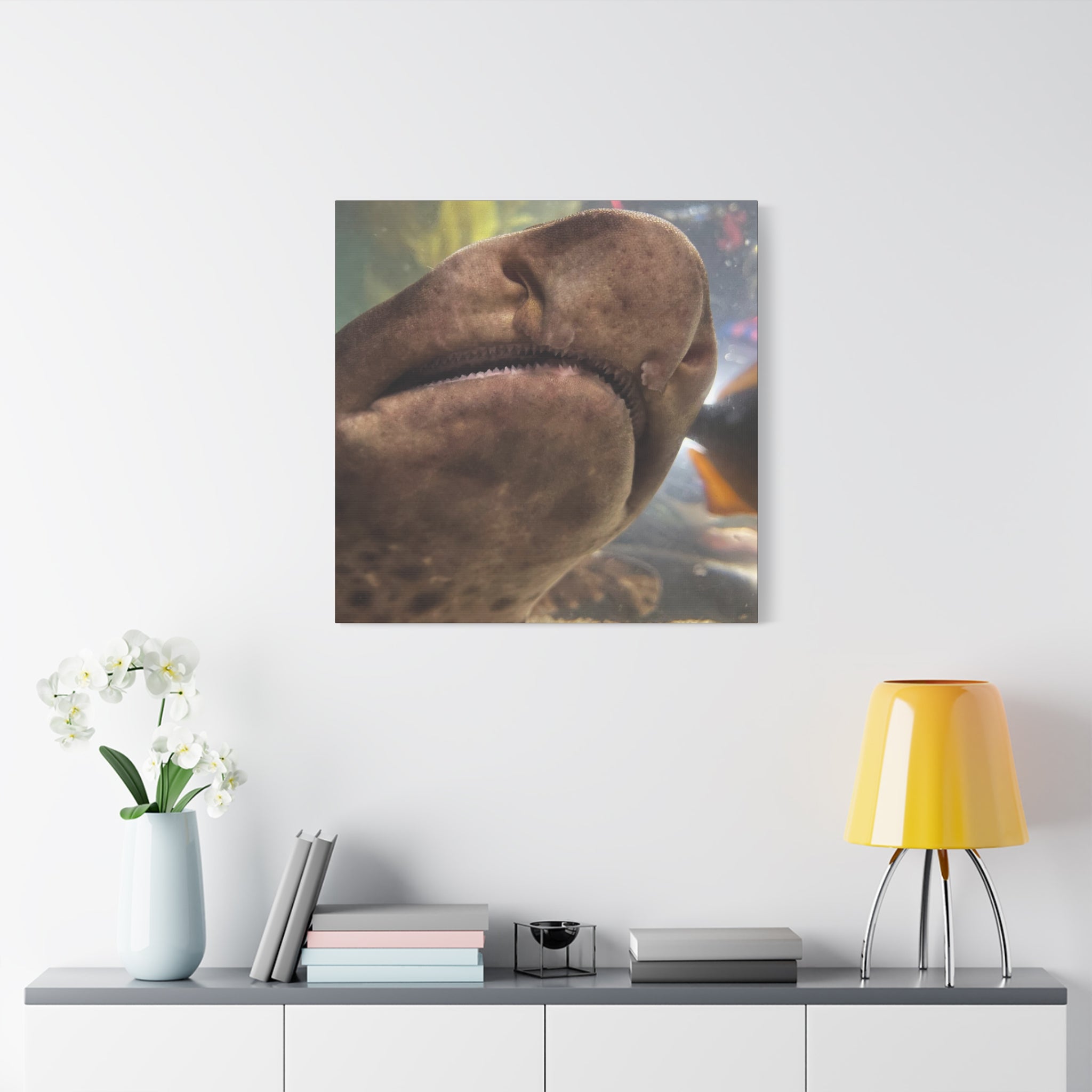 Swell Shark Close-Up Matte Canvas Print — Stretched 1.25" Wall Art