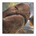 Swell Shark Close-Up Matte Canvas Print — Stretched 1.25" Wall Art