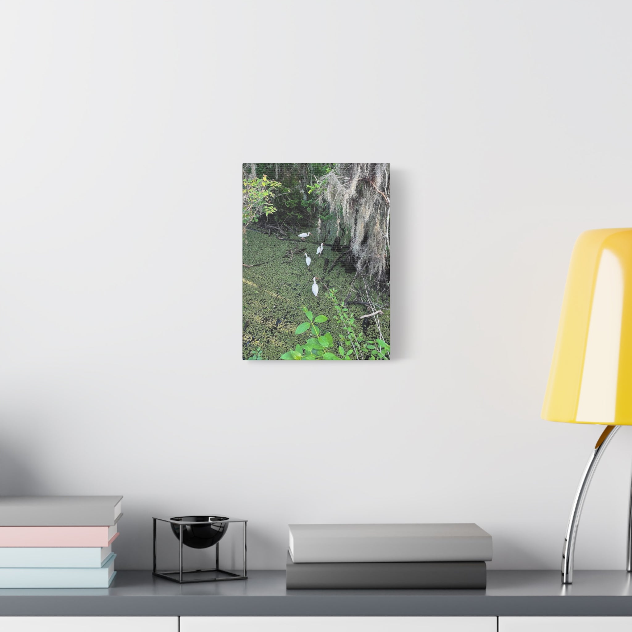 Swamp Egrets Canvas Print — Matte Stretched Nature Wall Art