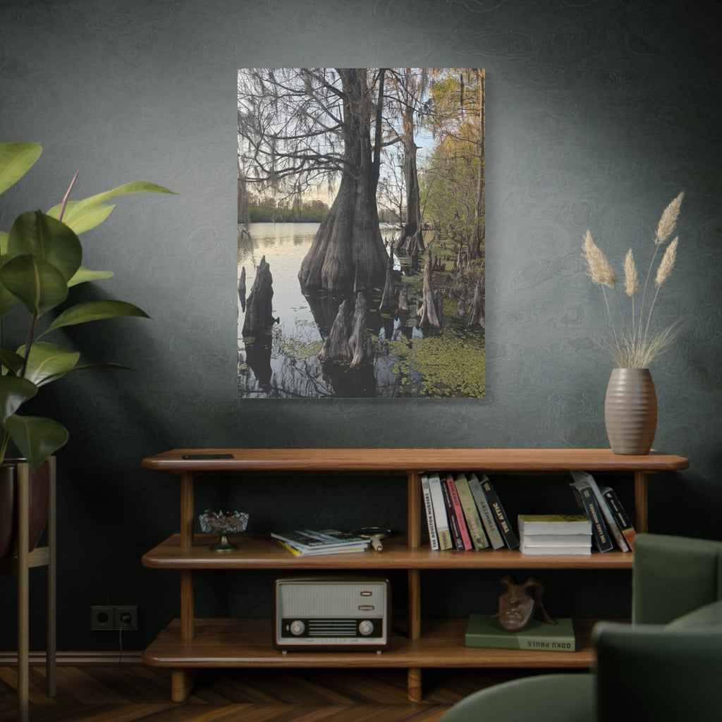 Swamp Matte Stretched Canvas