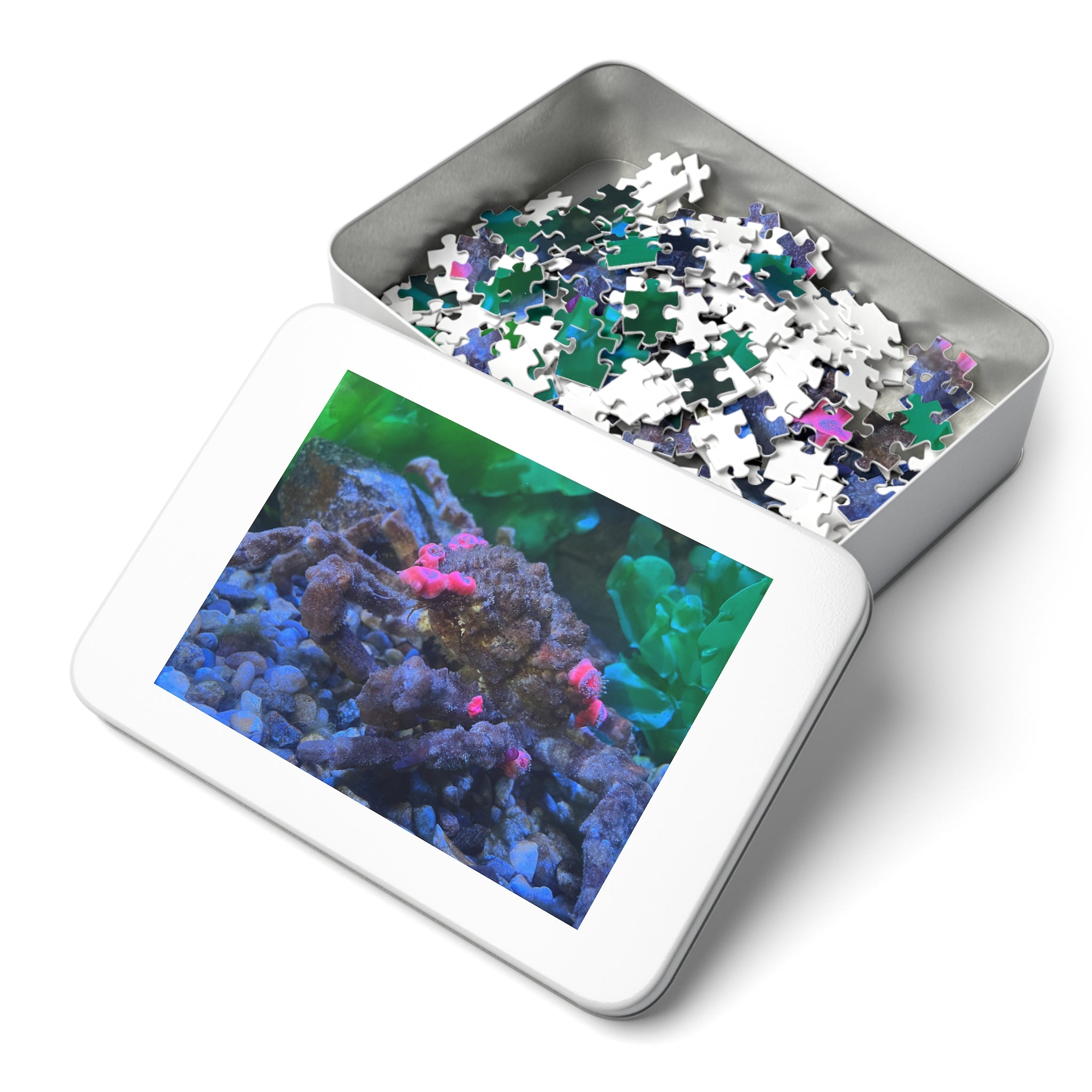 Decorator Crab Jigsaw Puzzle — Marine Life Puzzle with Colorful Anemones