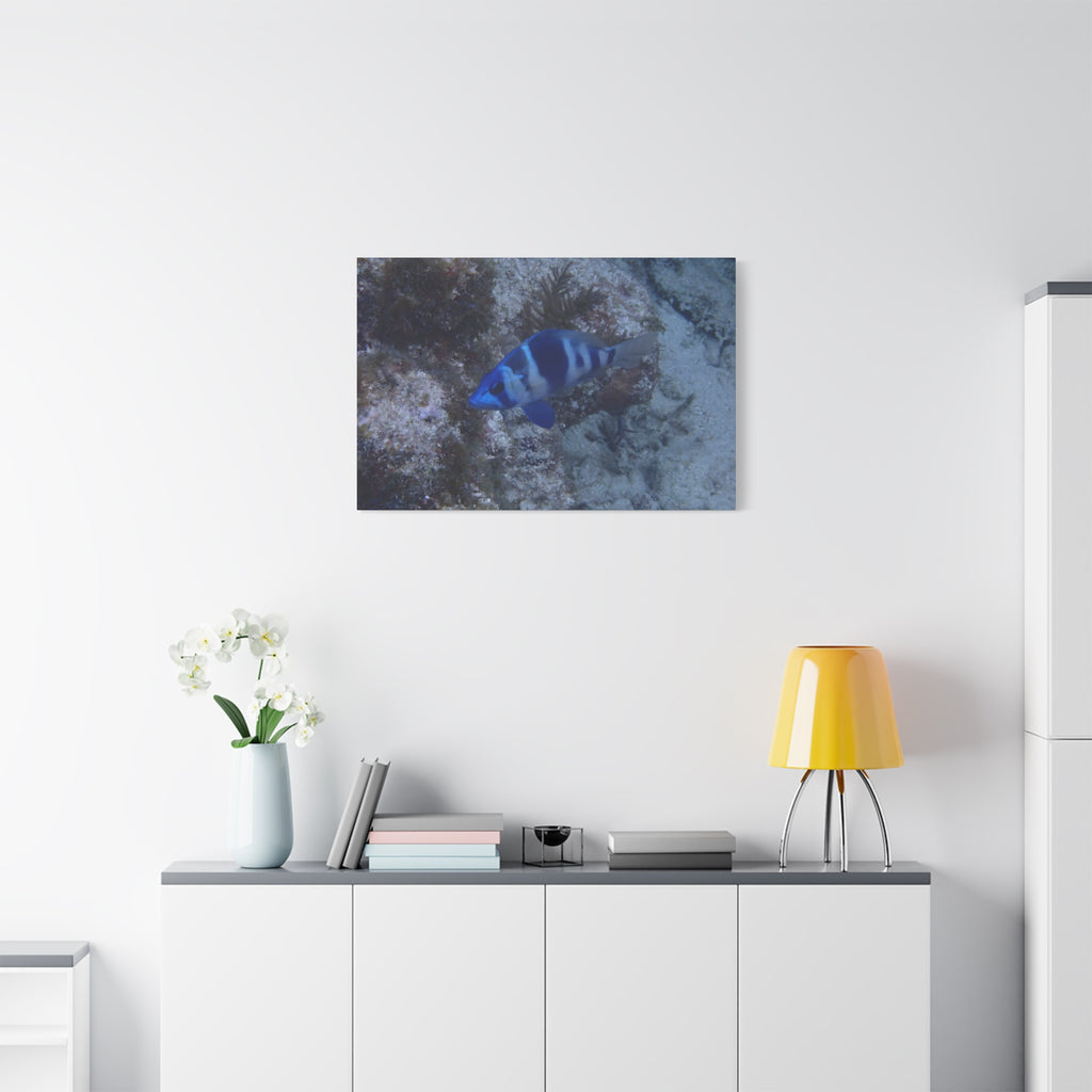 Indigo Hamlet Canvas Print — Underwater Matte Stretched Wall Art
