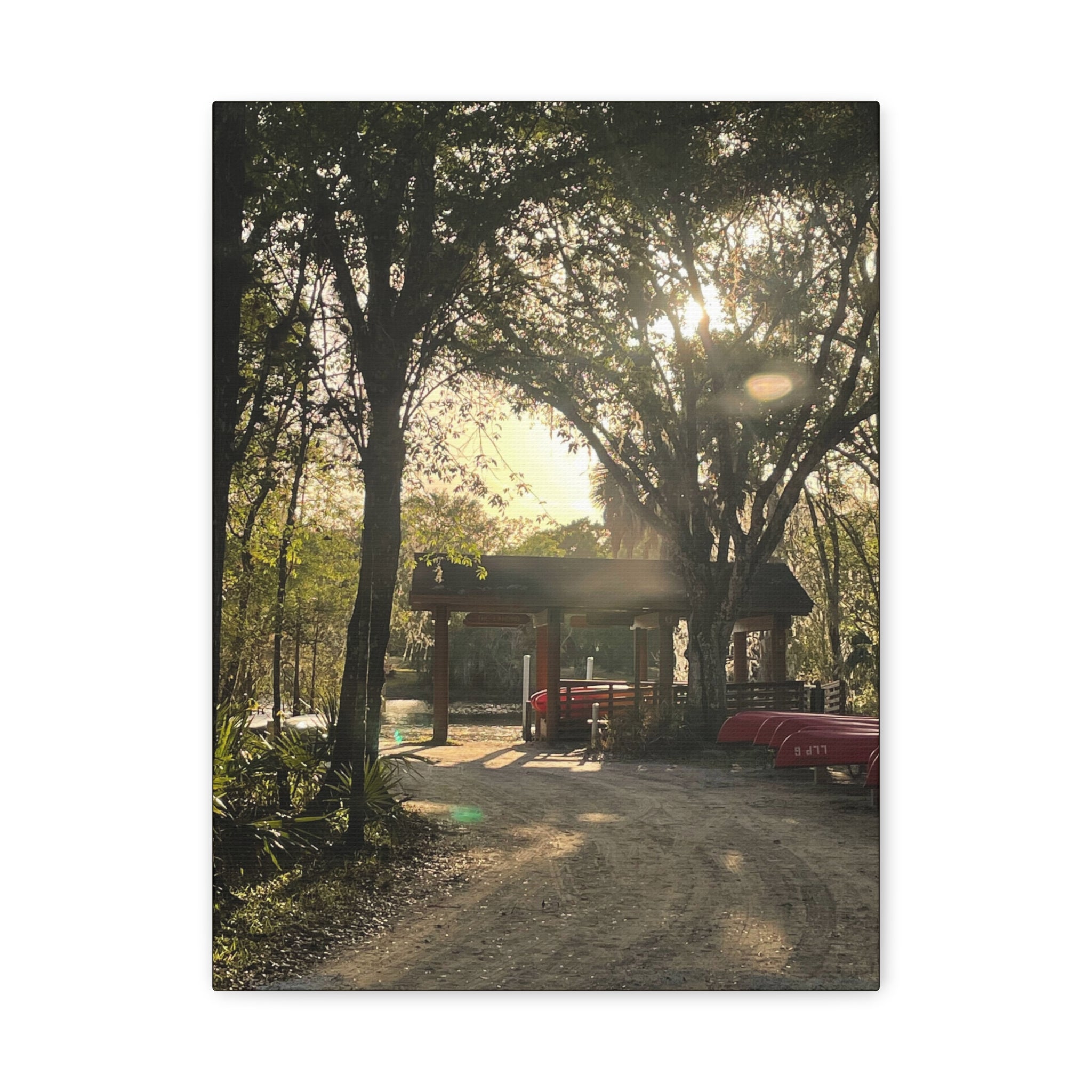 Hazy Morning Kayak - Sunlit Forest Matte Stretched Wall Art