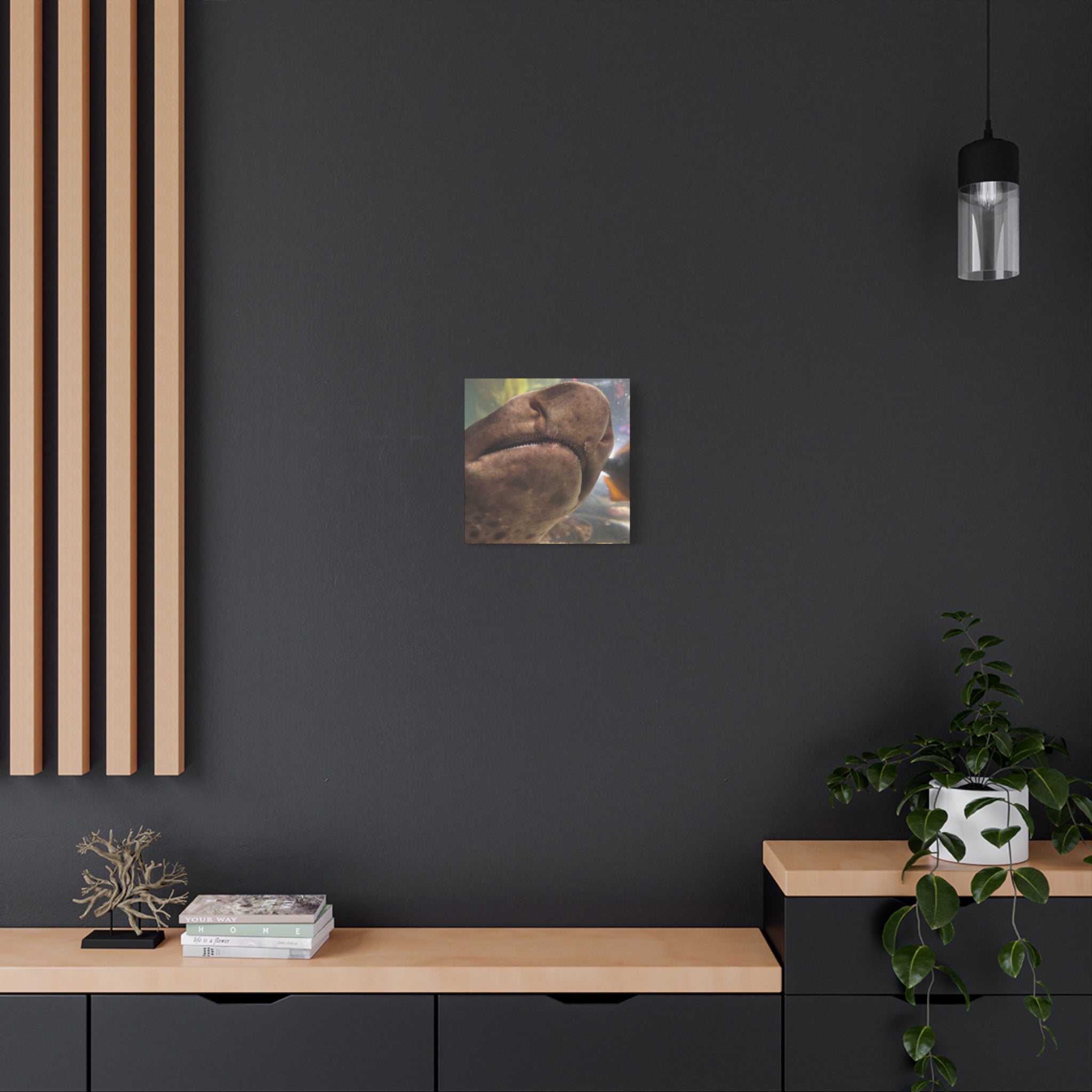 Swell Shark Close-Up Matte Canvas Print — Stretched 1.25" Wall Art