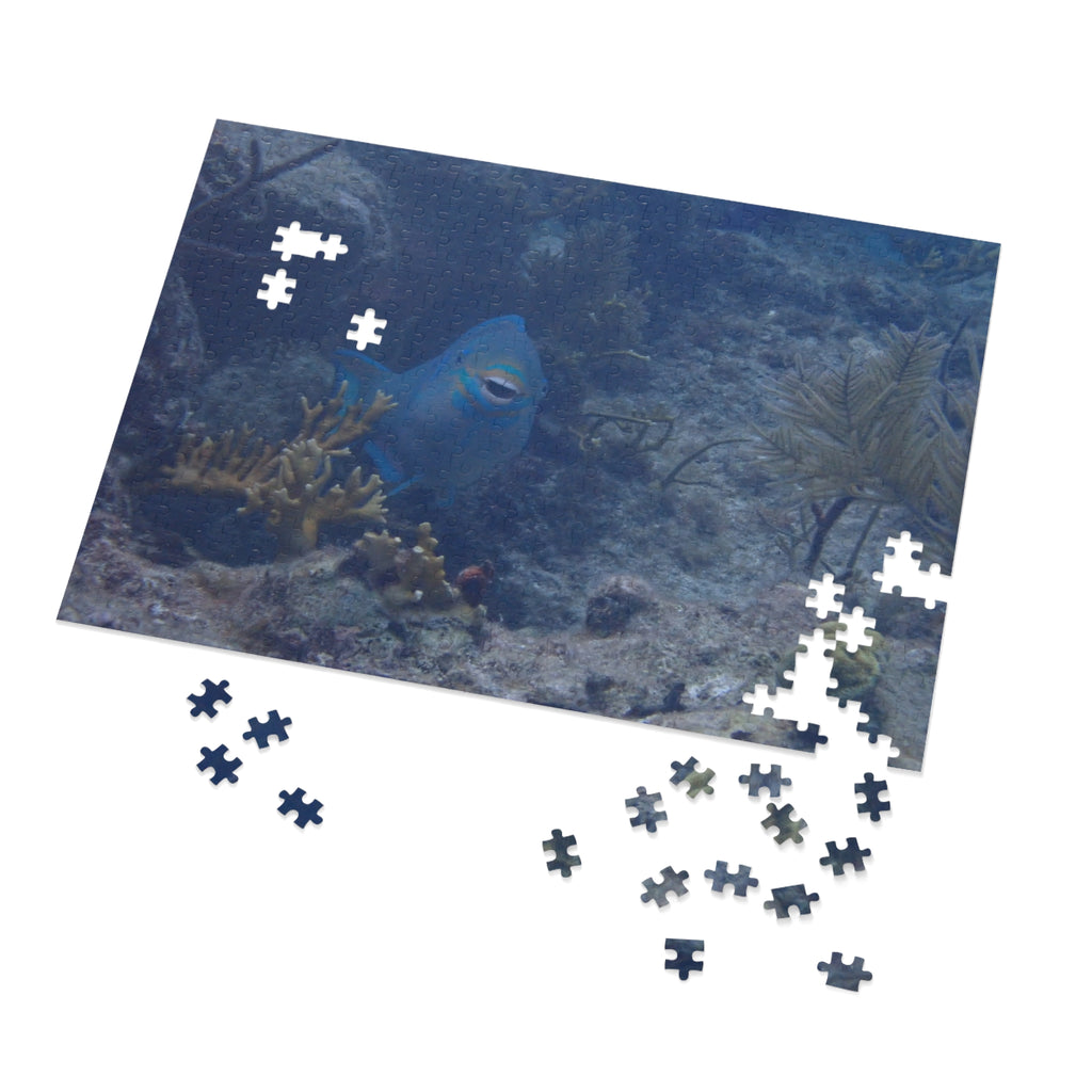Smiling Parrotfish Jigsaw Puzzle with Tin – Ocean Reef Puzzle Gift