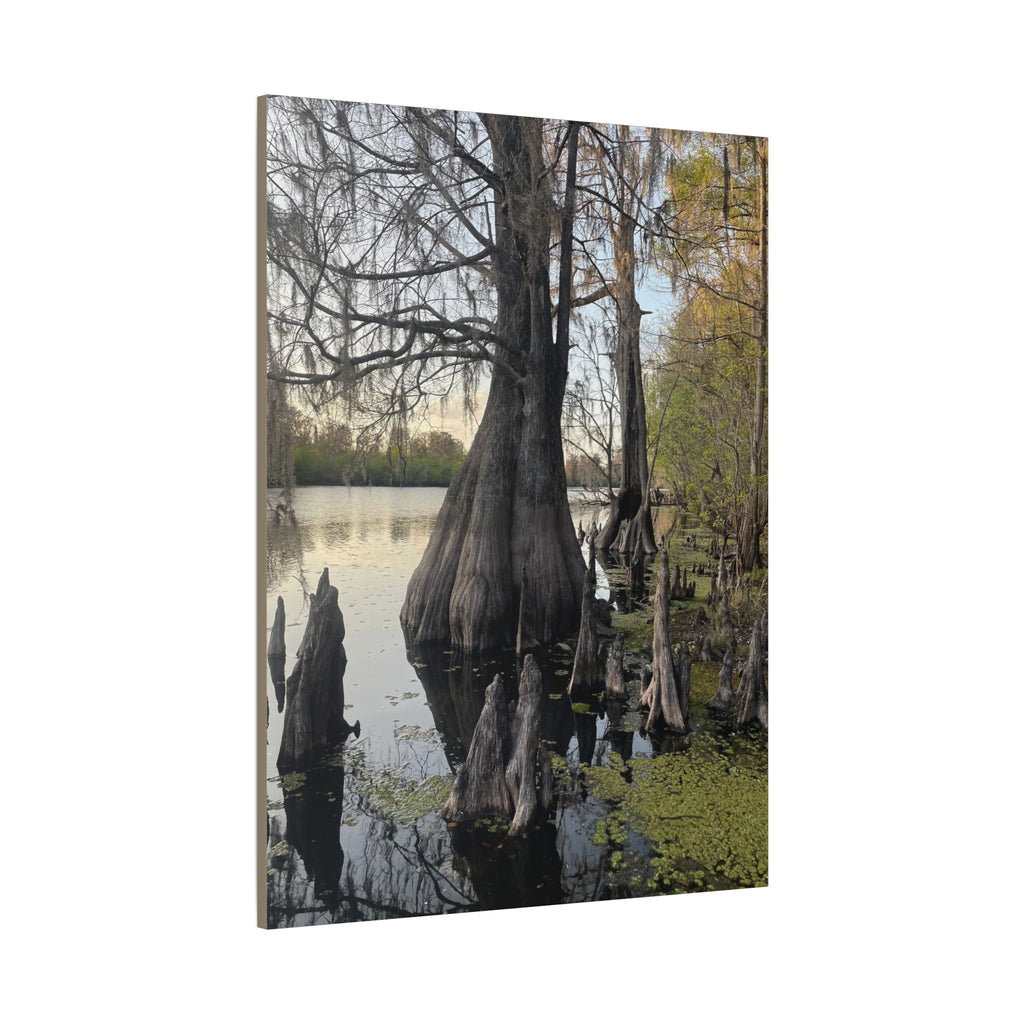 Swamp Matte Stretched Canvas