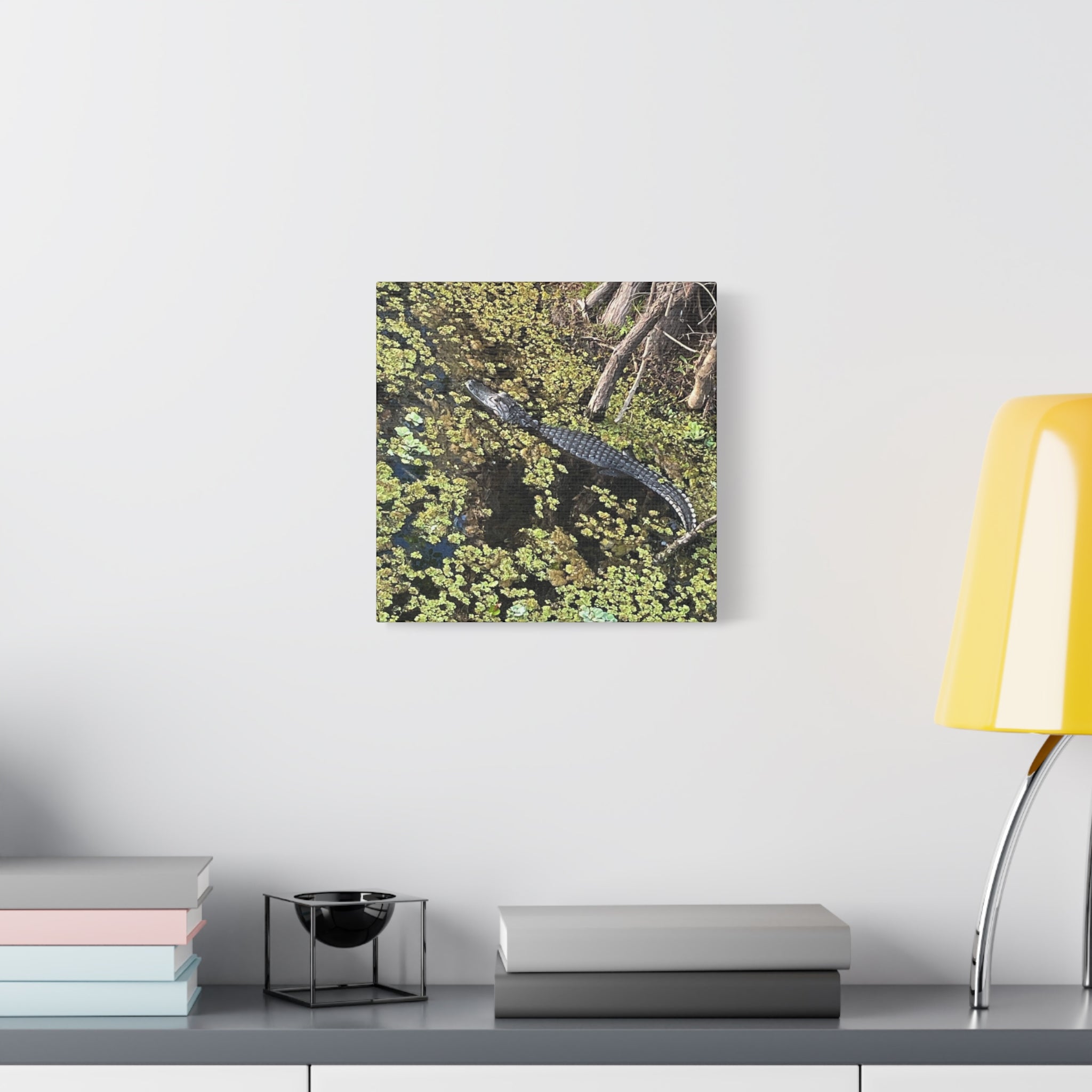 Alligator Photography Canvas Print — Matte Stretched Wall Art