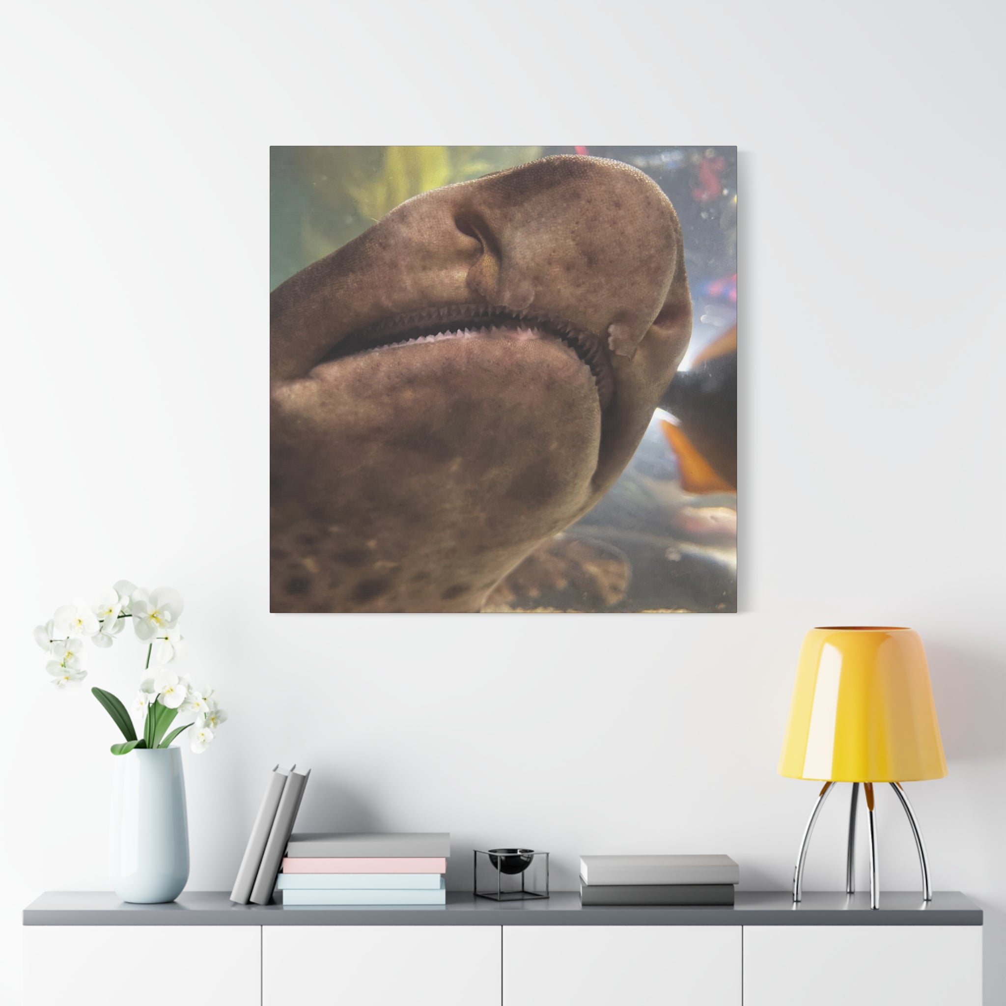 Swell Shark Close-Up Matte Canvas Print — Stretched 1.25" Wall Art