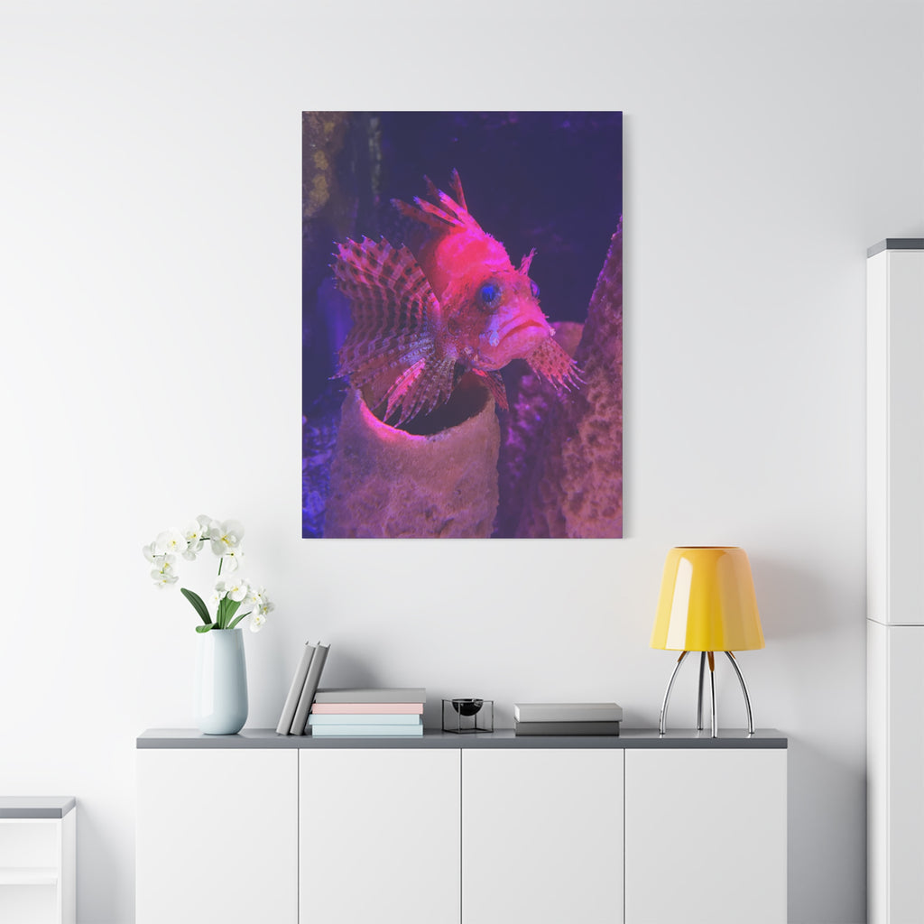Fuzzy Dwarf Lionfish Canvas Print — Vibrant Marine Wall Art (1.25" Stretched)