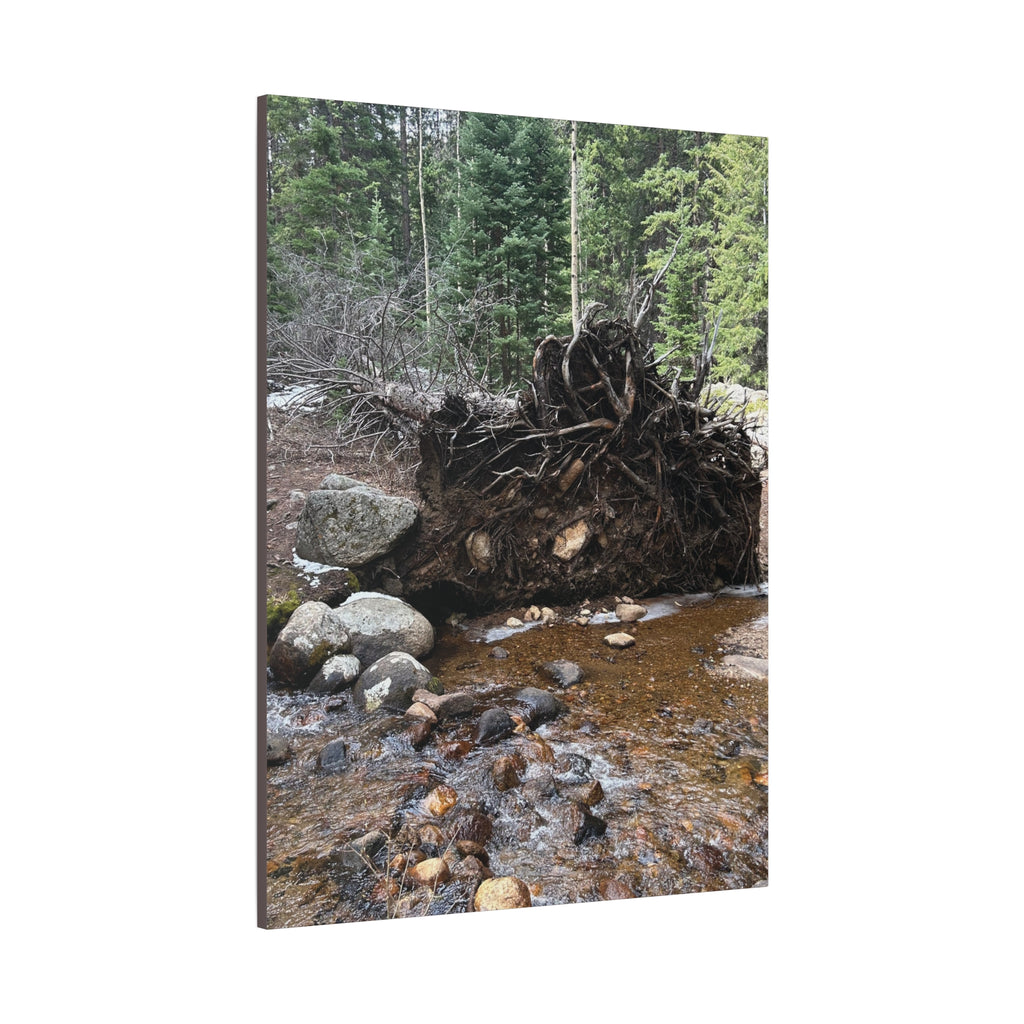 Riverbank Forest Canvas Print – Matte Stretched Wall Art (1.25")