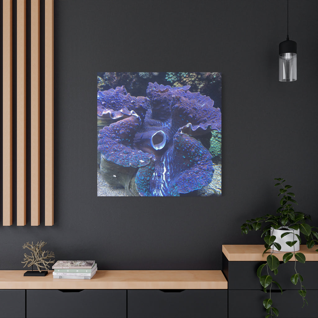Blue Tridacna Clam Matte Canvas Print — Vibrant Ocean Coral Wall Art