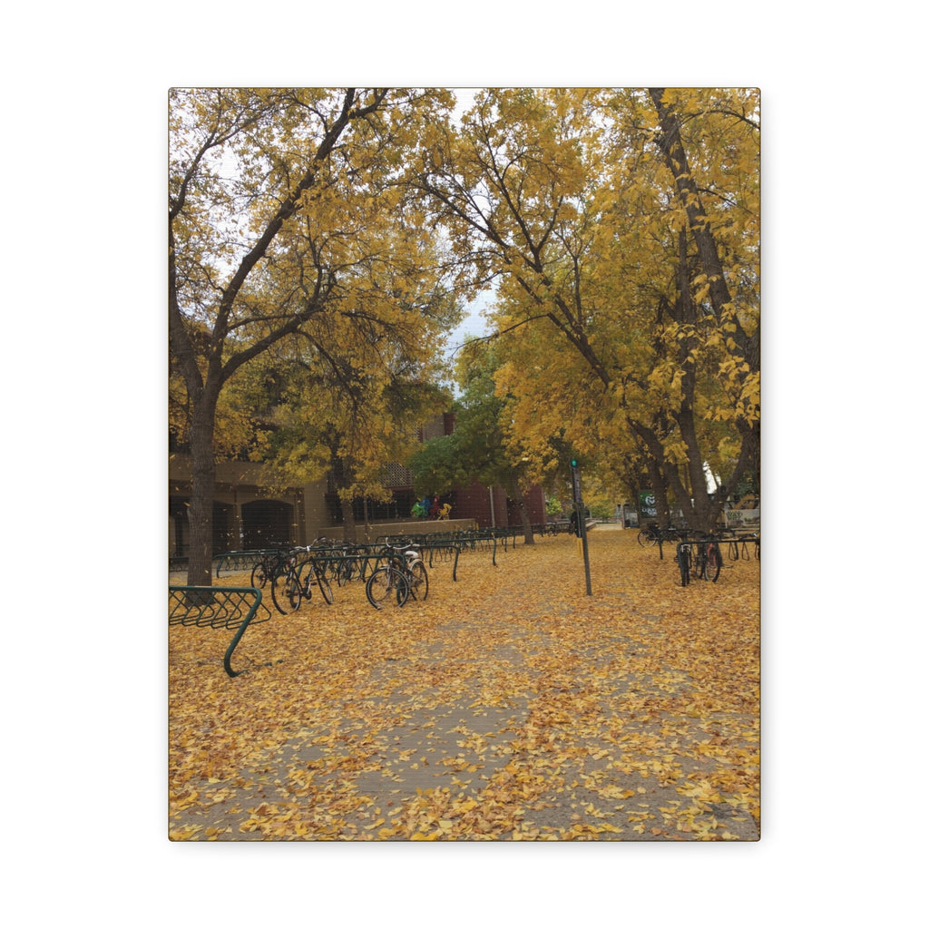 Autumn Campus Walk Matte Canvas Print