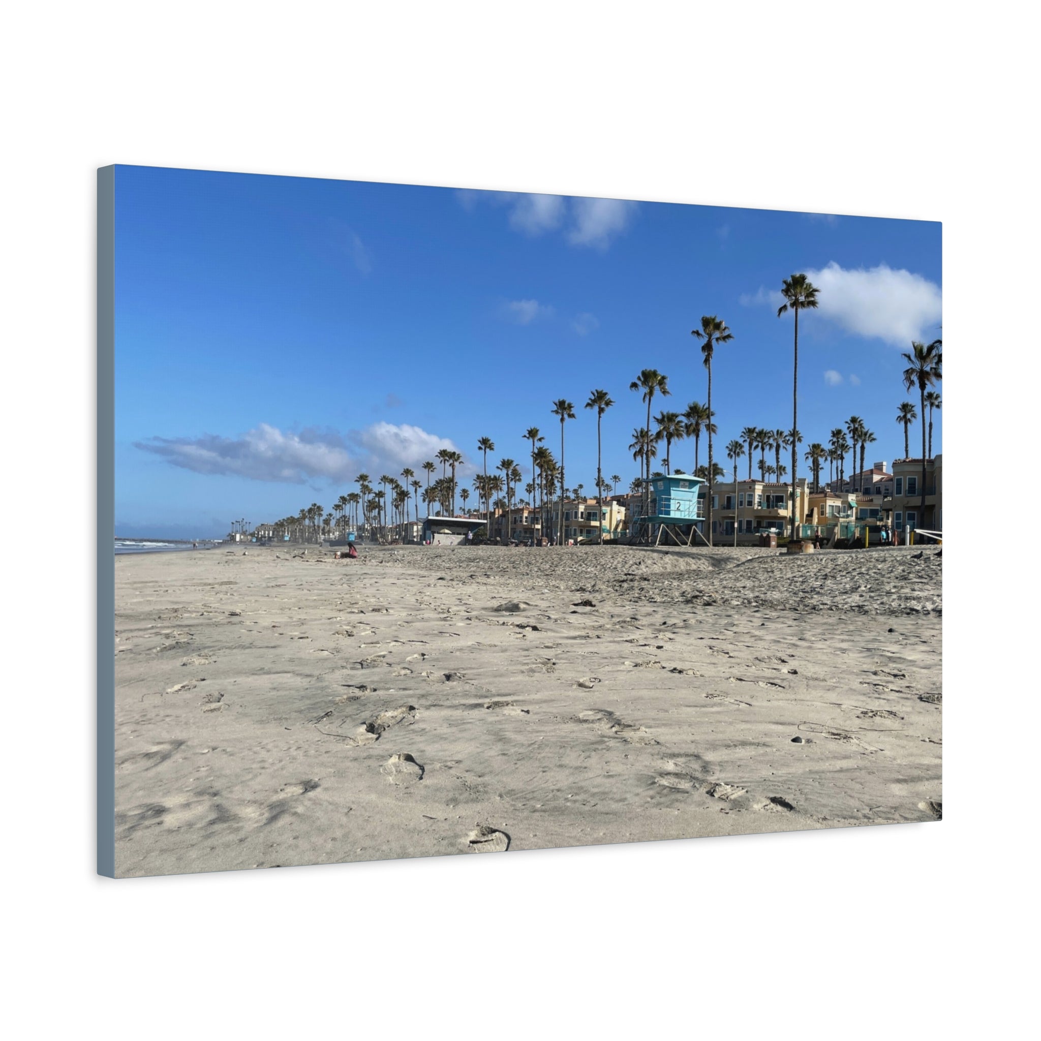 Coastal Palm Beach Canvas Print — Stretched Matte Wall Art