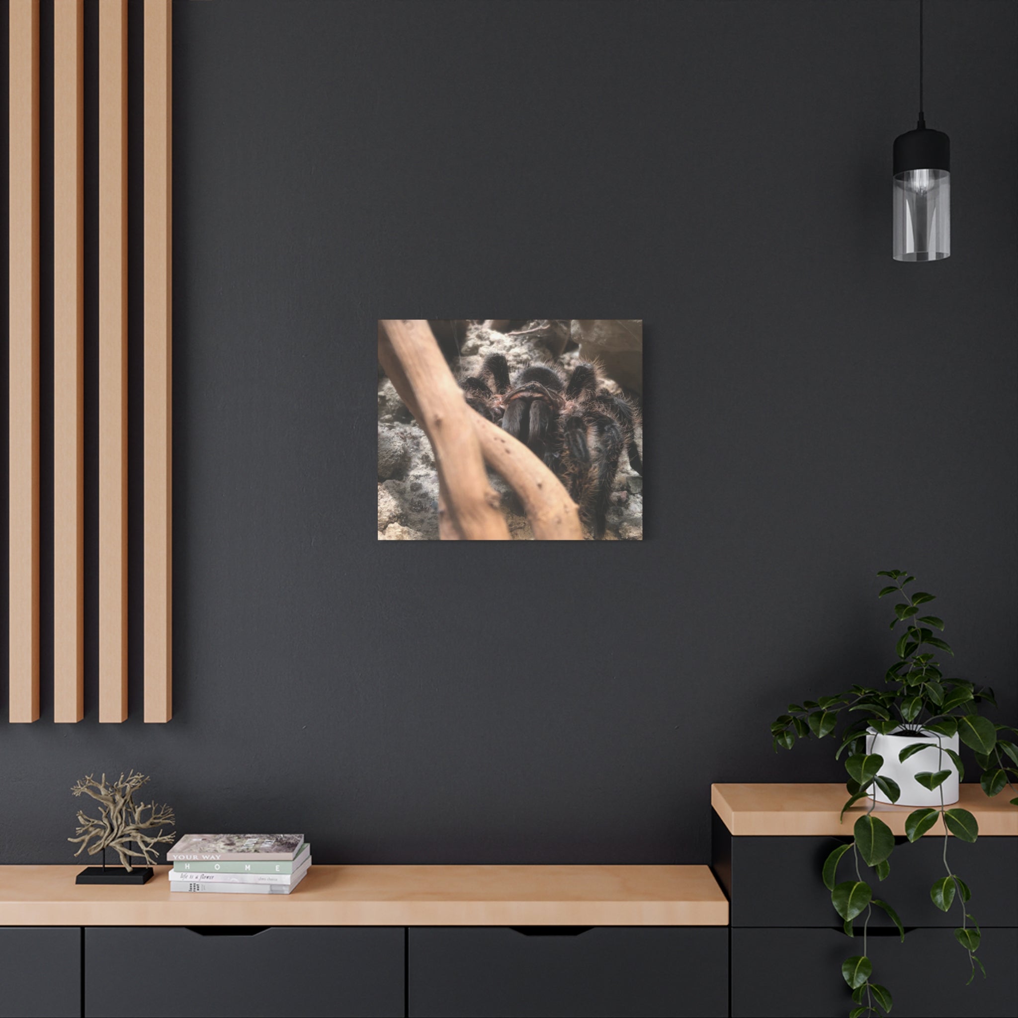 Tarantula Staredown Matte Canvas Print — Naturalistic Arachnid Wall Art