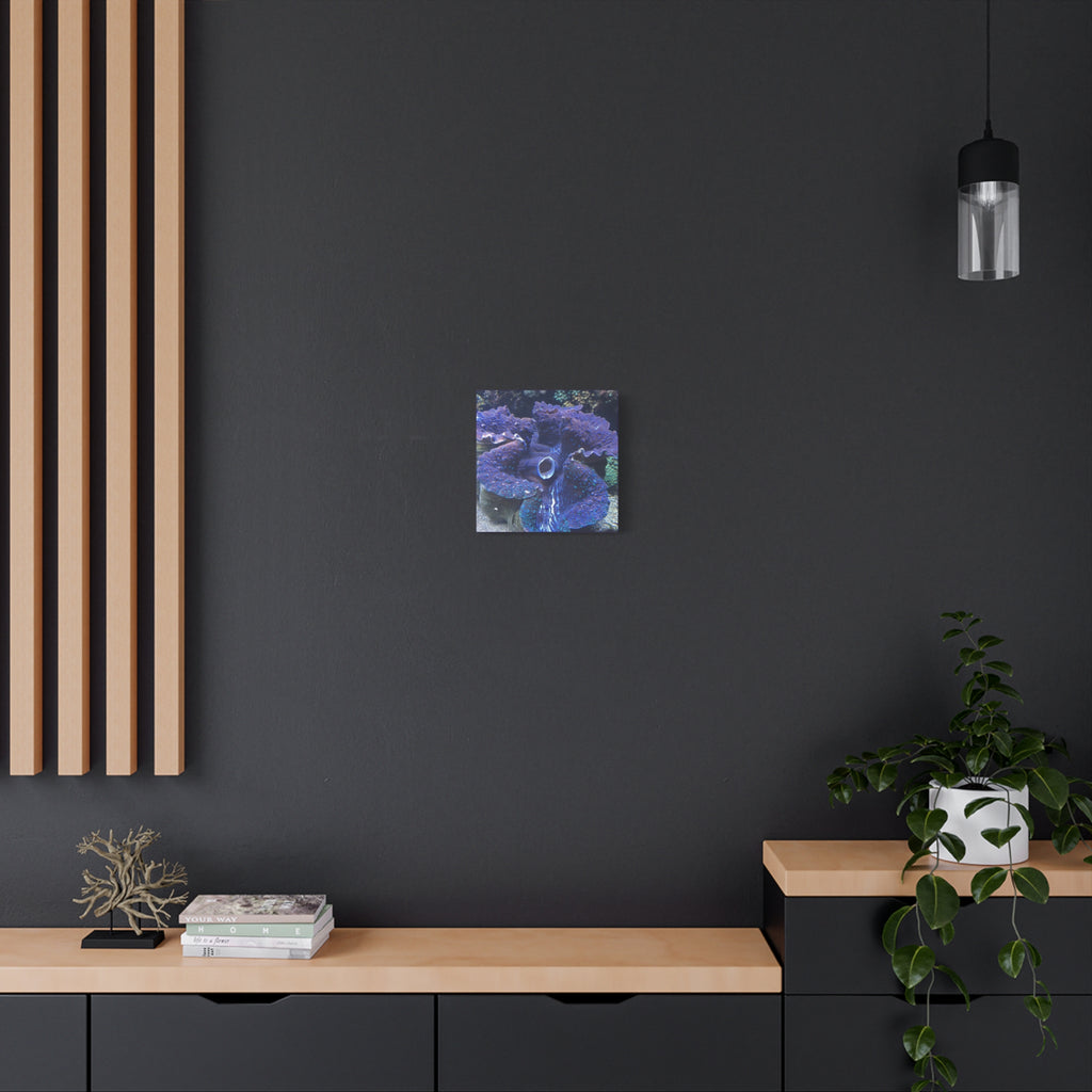 Blue Tridacna Clam Matte Canvas Print — Vibrant Ocean Coral Wall Art