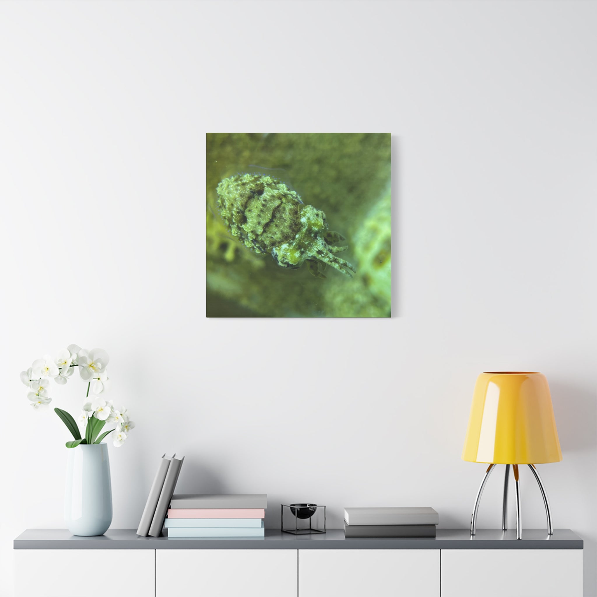Dwarf Cuttlefish Canvas Print — Matte Stretched Sea Life Wall Art