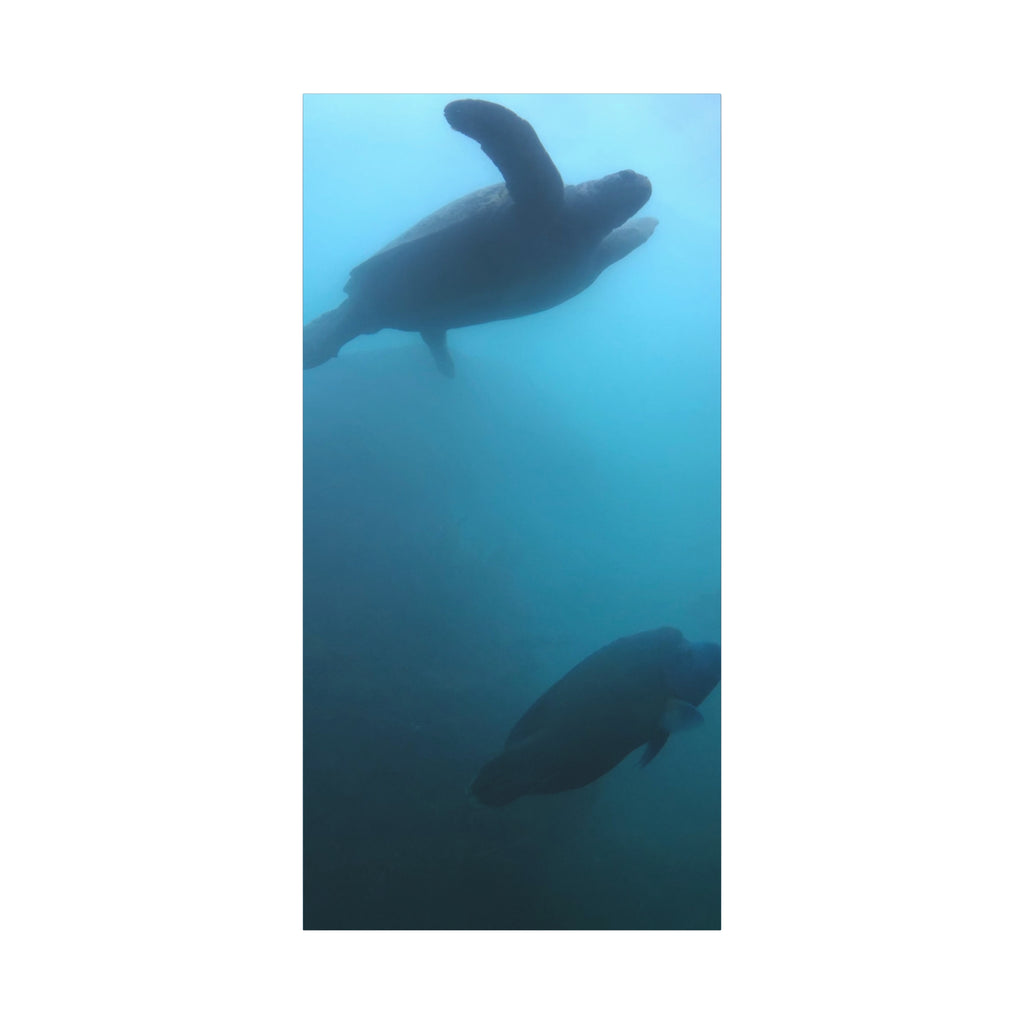 Sea Turtle and Humphead Wrasse Ocean Canvas Wall Art — Matte Stretched 1.25"