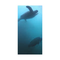 Sea Turtle and Humphead Wrasse Ocean Canvas Wall Art — Matte Stretched 1.25"