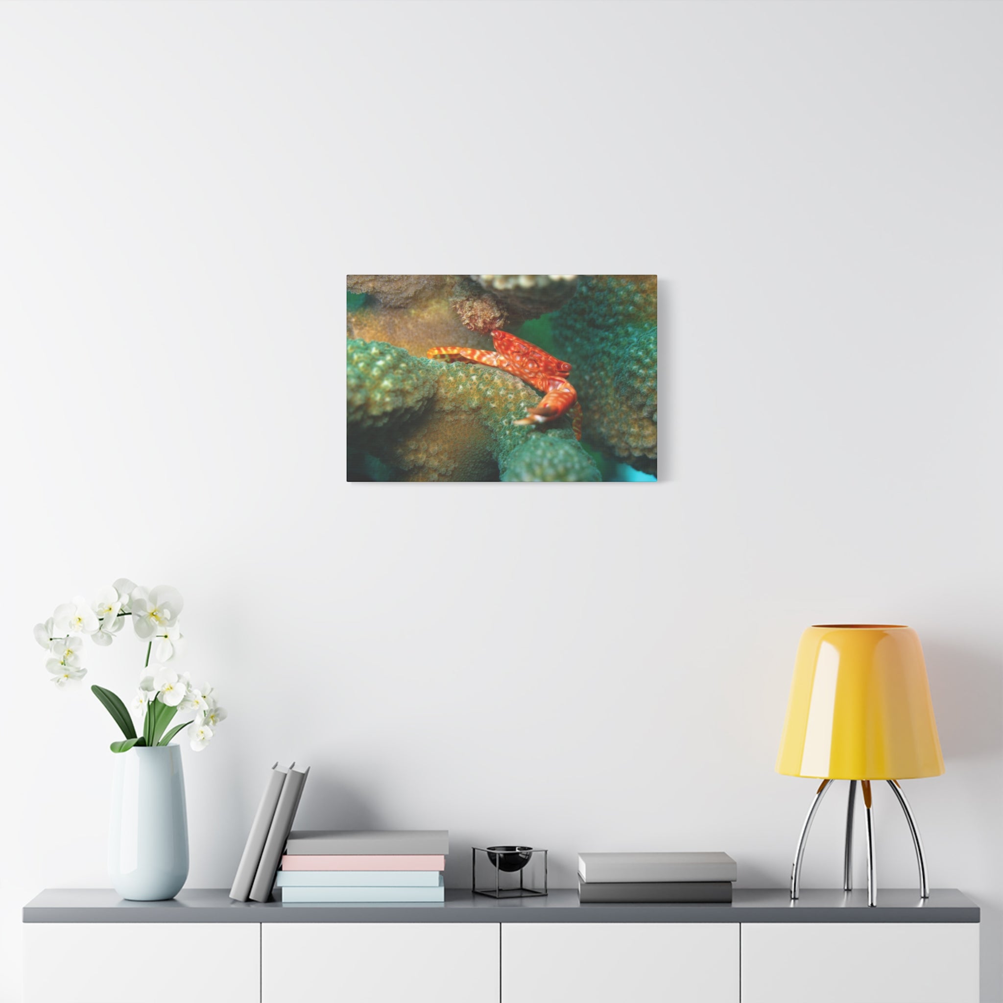 Coral Reef Crab Matte Canvas Print — Underwater Marine Wall Art