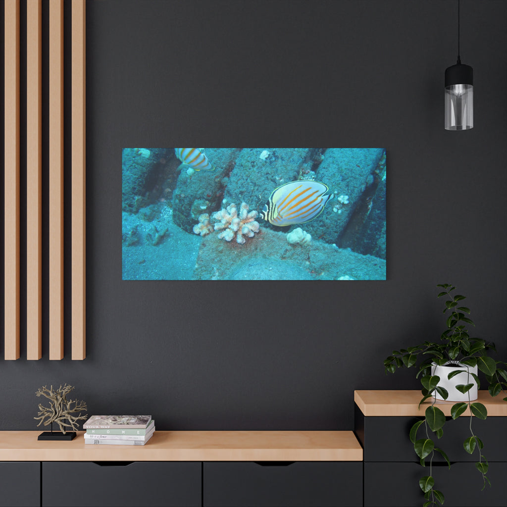 Tropical Butterflyfish Canvas Print — Underwater Coral Reef Wall Art