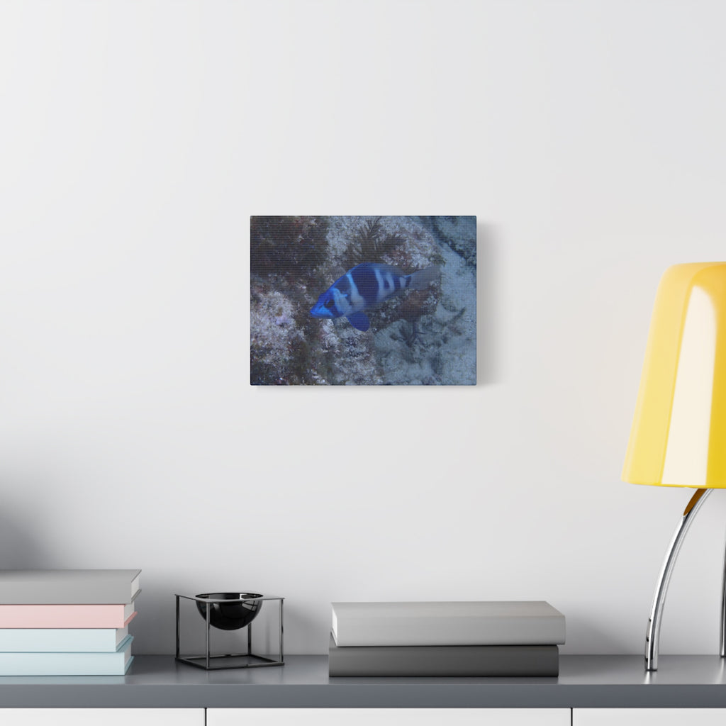 Indigo Hamlet Canvas Print — Underwater Matte Stretched Wall Art