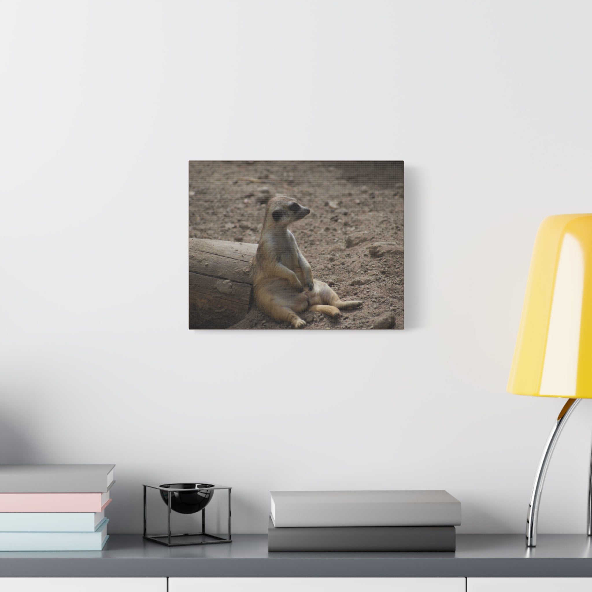 Relaxed Meerkat Matte Canvas Wall Art — Cute Animal Photo Print