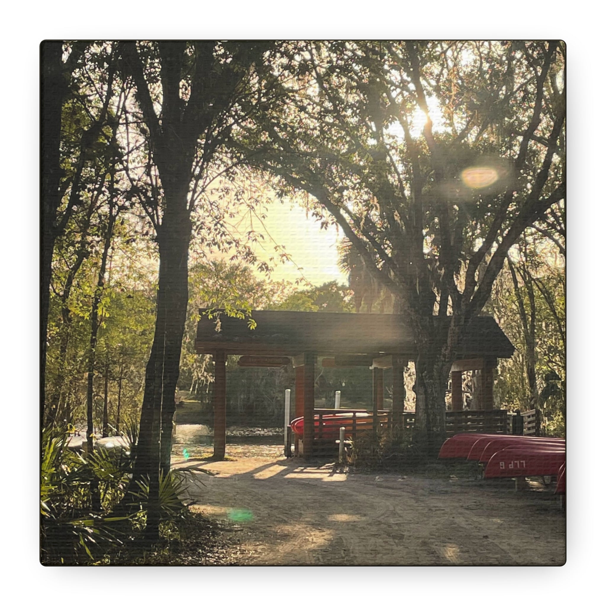 Hazy Morning Kayak - Sunlit Forest Matte Stretched Wall Art