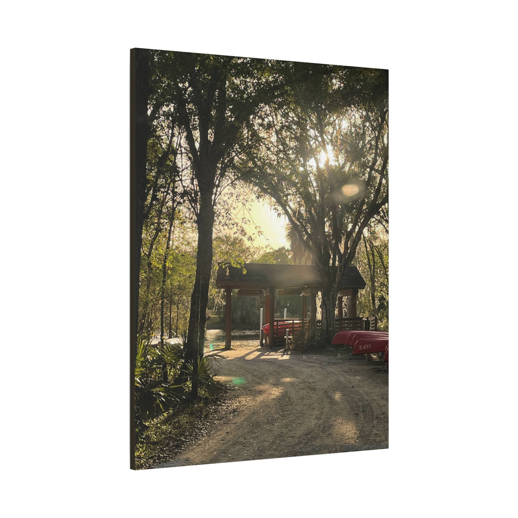 Hazy Morning Kayak - Sunlit Forest Matte Stretched Wall Art