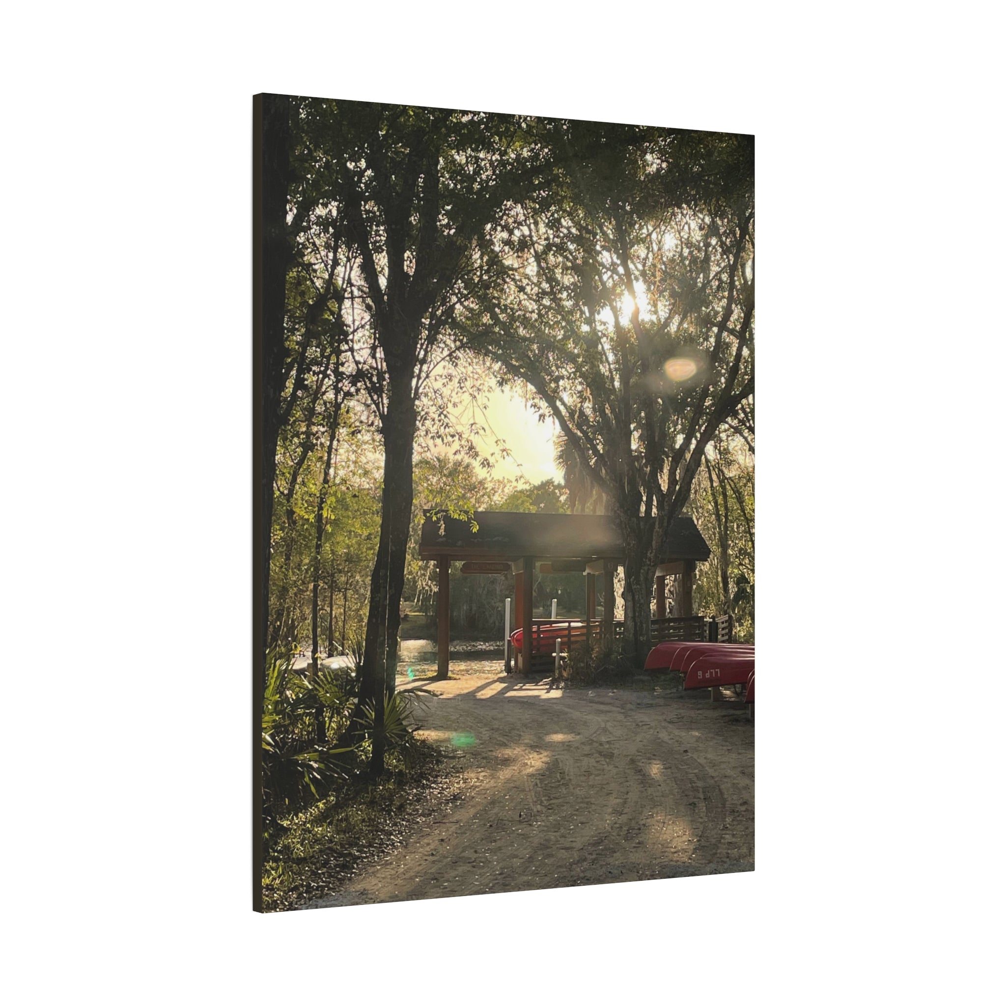 Hazy Morning Kayak - Sunlit Forest Matte Stretched Wall Art