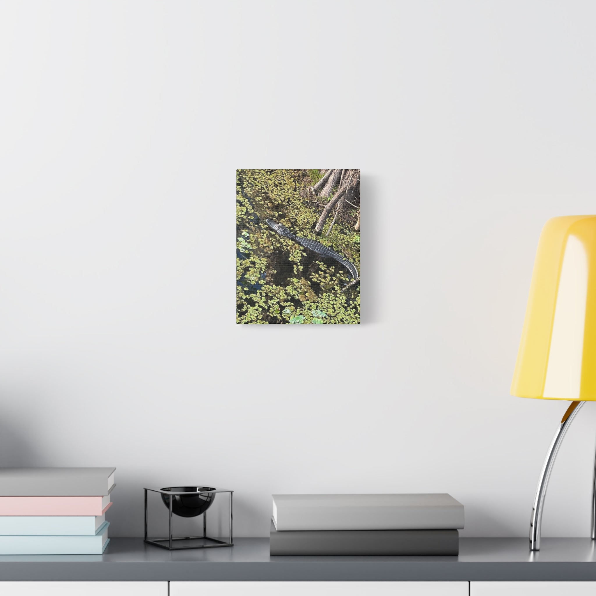 Alligator Photography Canvas Print — Matte Stretched Wall Art