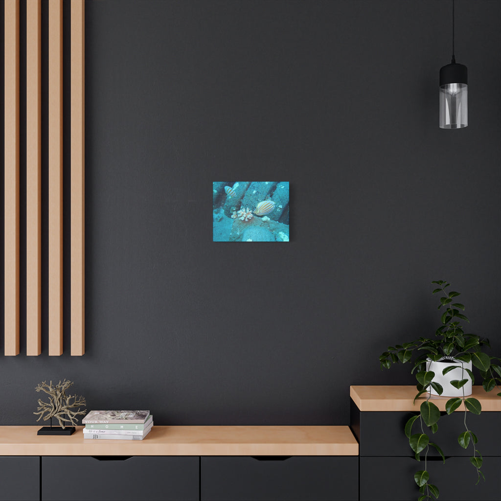 Tropical Butterflyfish Canvas Print — Underwater Coral Reef Wall Art