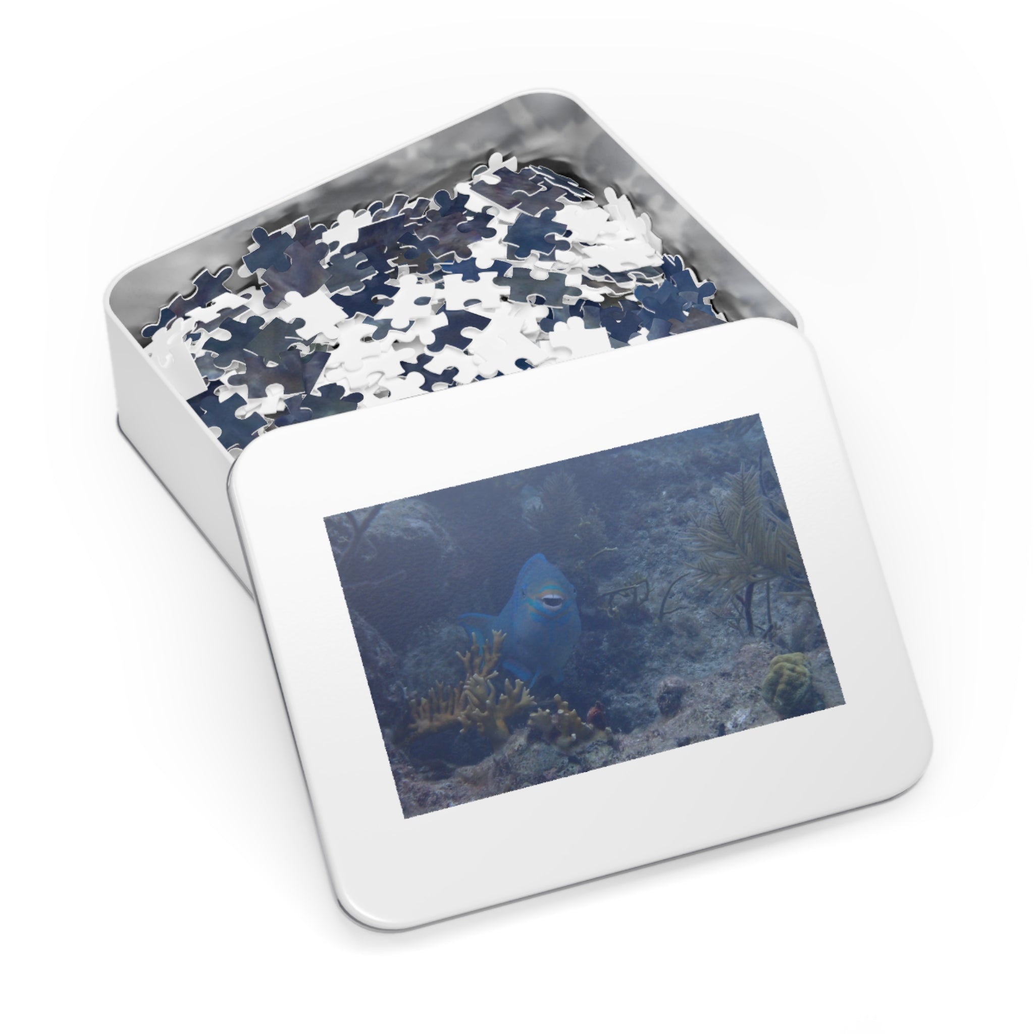 Smiling Parrotfish Jigsaw Puzzle with Tin – Ocean Reef Puzzle Gift