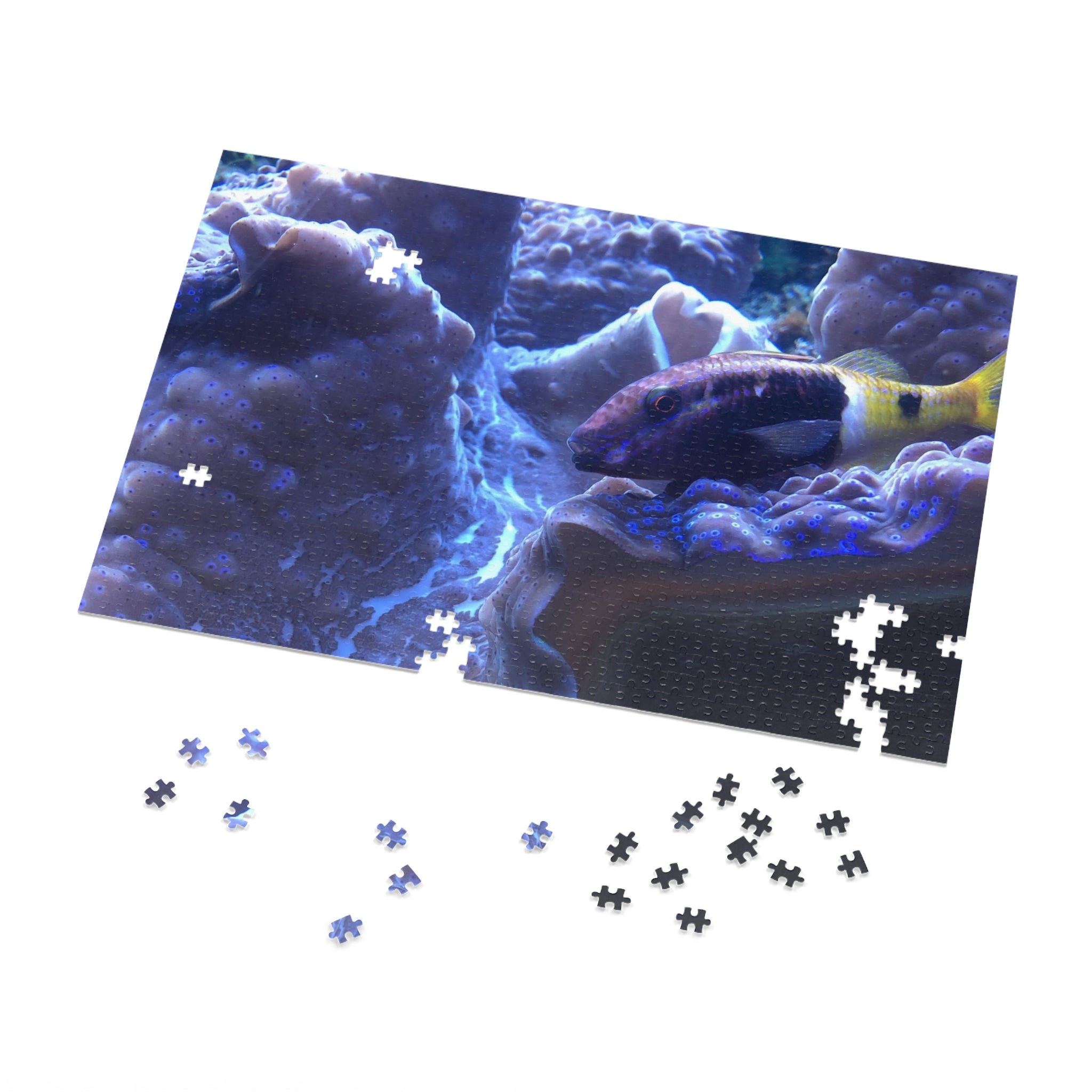 Giant Clam Reef Puzzle — Colorful Jigsaw Puzzle with Tin
