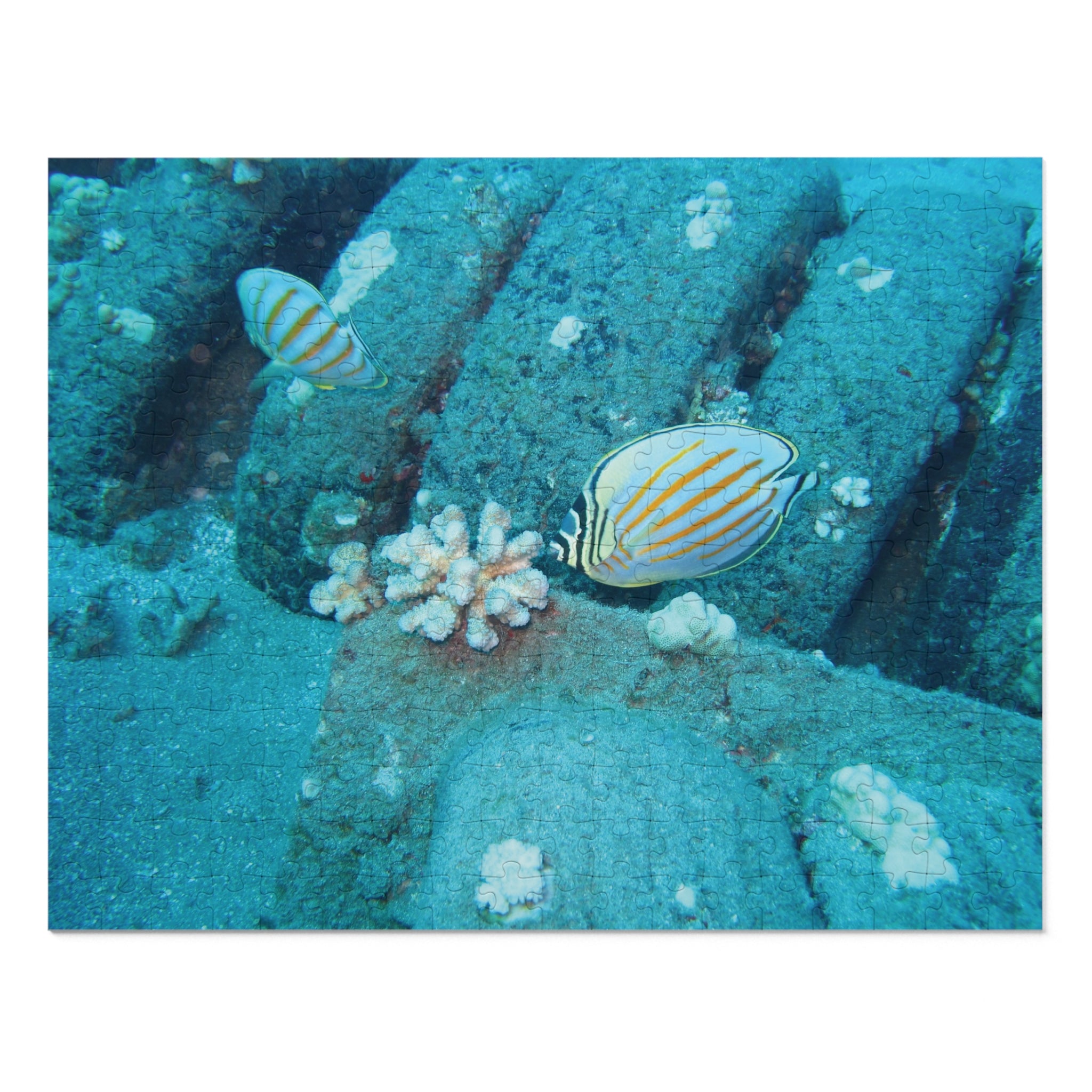 Underwater Butterflyfish Jigsaw Puzzle with Tin – Ocean Coral Reef
