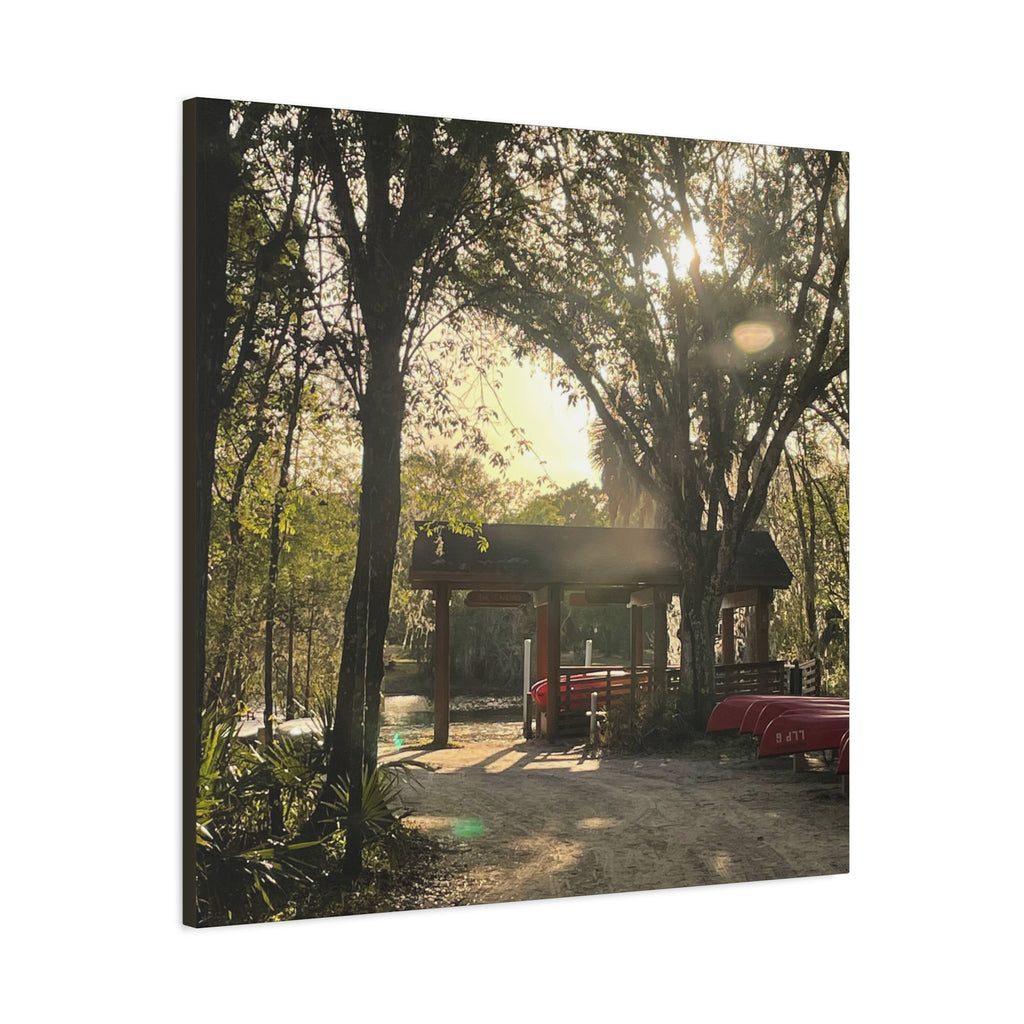 Hazy Morning Kayak - Sunlit Forest Matte Stretched Wall Art
