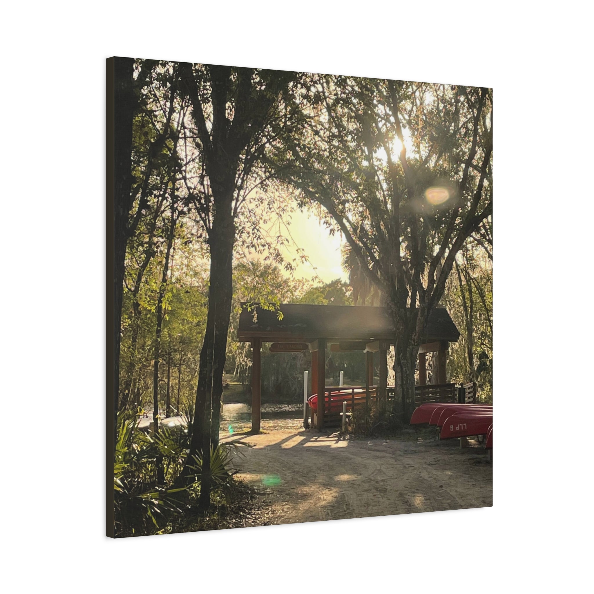 Hazy Morning Kayak - Sunlit Forest Matte Stretched Wall Art
