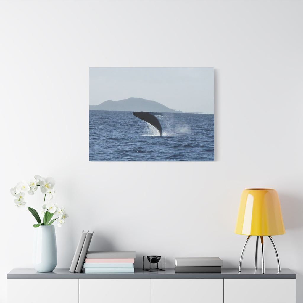 Humpback Whale Breach Matte Canvas Wall Art