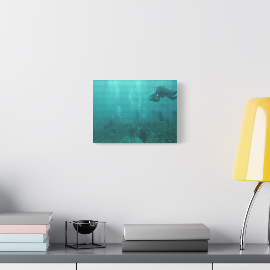 Diving over the Reef Matte Canvas