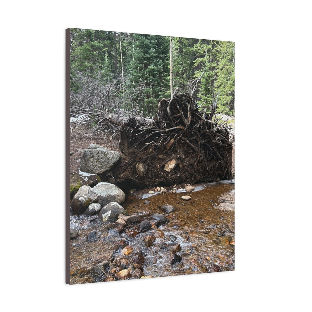 Riverbank Forest Canvas Print – Matte Stretched Wall Art (1.25")