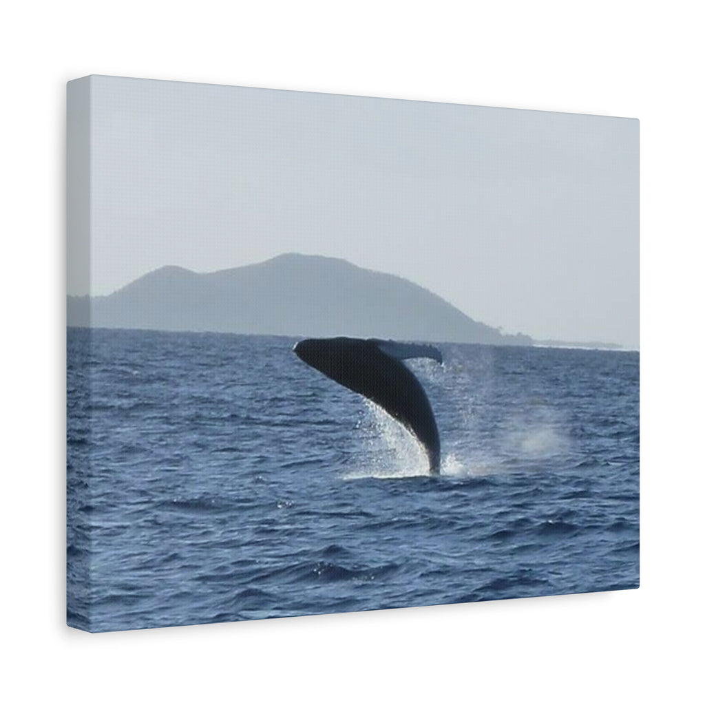 Humpback Whale Breach Matte Canvas Wall Art